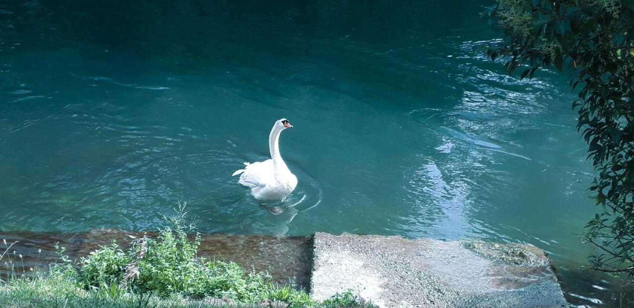 Ampio Appartamento Vicino Al Centro Di Treviso, Parcheggio Gratuito エクステリア 写真