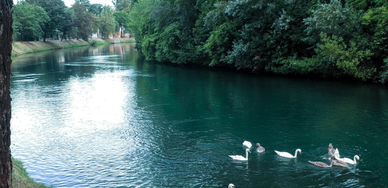 Ampio Appartamento Vicino Al Centro Di Treviso, Parcheggio Gratuito エクステリア 写真