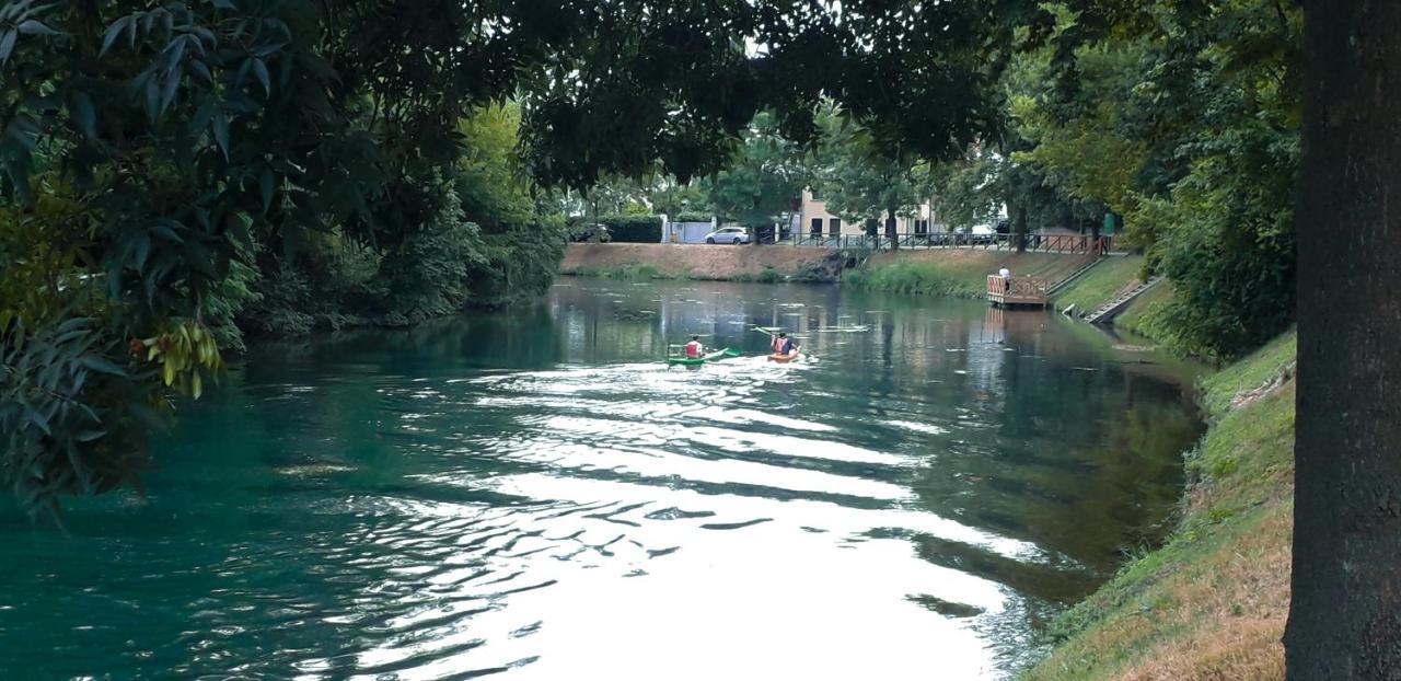 Ampio Appartamento Vicino Al Centro Di Treviso, Parcheggio Gratuito エクステリア 写真
